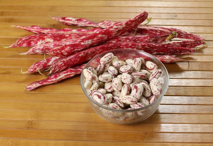 Global Market Trends & Demand Forecast for Iranian Pinto Beans (2025–2026)